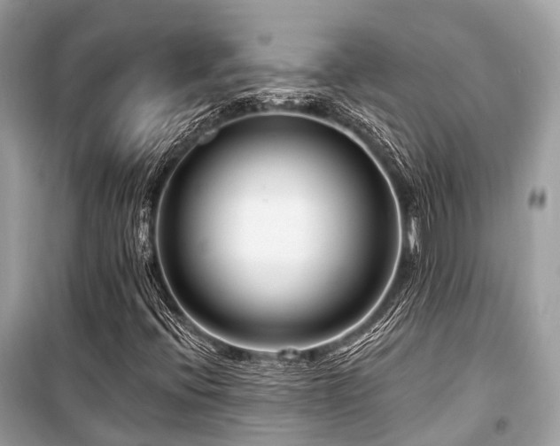 X0000099581396200805161224