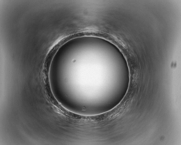 X0000099581400200805161224