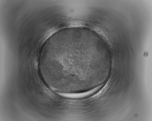 X0000099581401200805161224