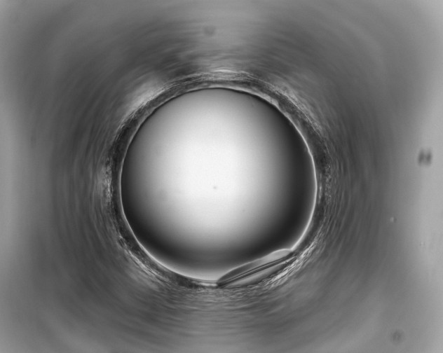 X0000099581402200805161224