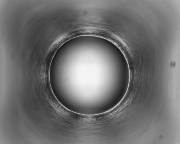 X0000099581403200805161224