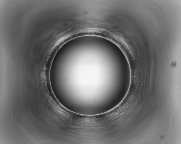 X0000099581404200805161224