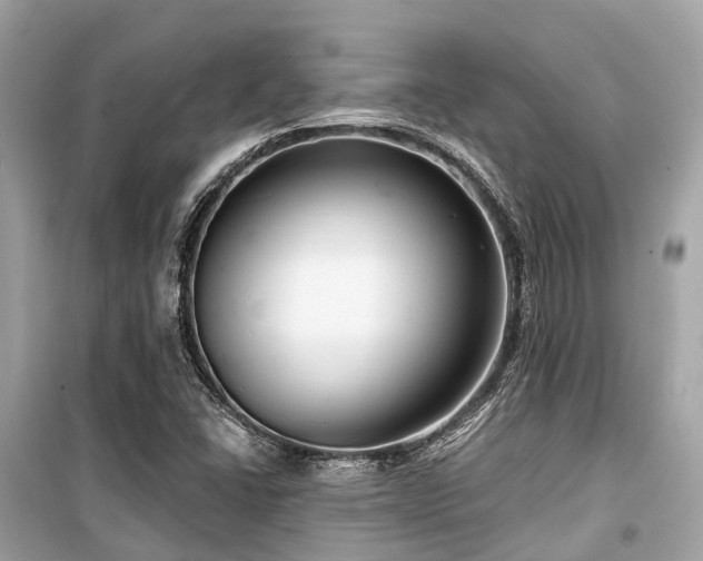 X0000099581406200805161224