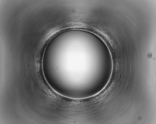 X0000099581407200805161224