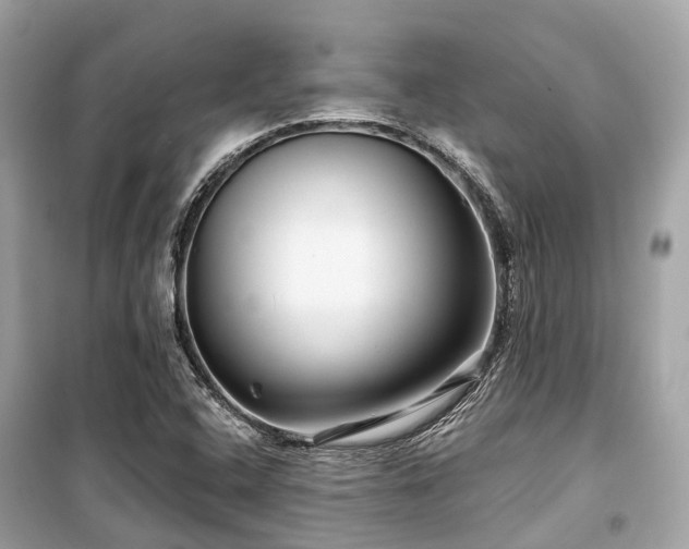 X0000099581408200805161224