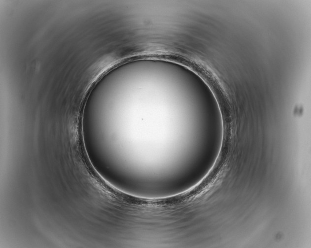 X0000099581409200805161224