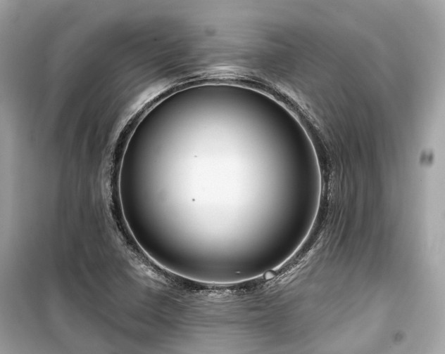 X0000099581410200805161224