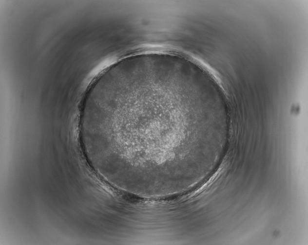 X0000099581411200805161224