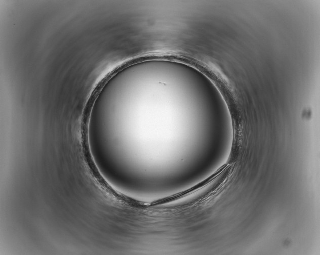 X0000099581412200805161224