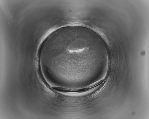 X0000099581414200805161225