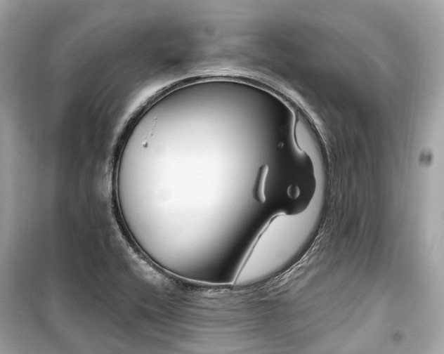X0000099581416200805161225