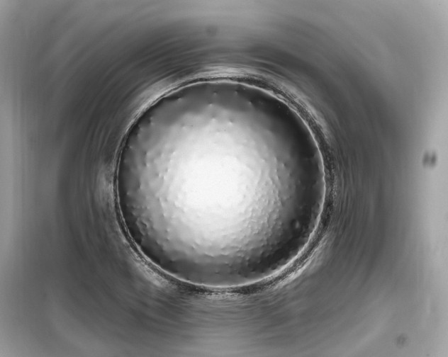 X0000099581417200805161225