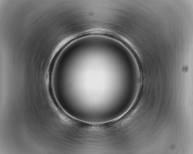 X0000099581418200805161225