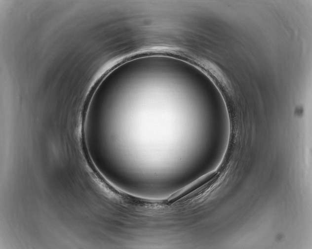 X0000099581420200805161225