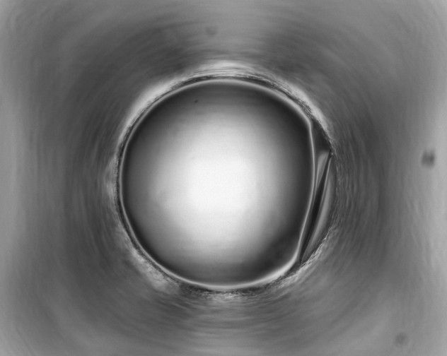 X0000099581421200805161225