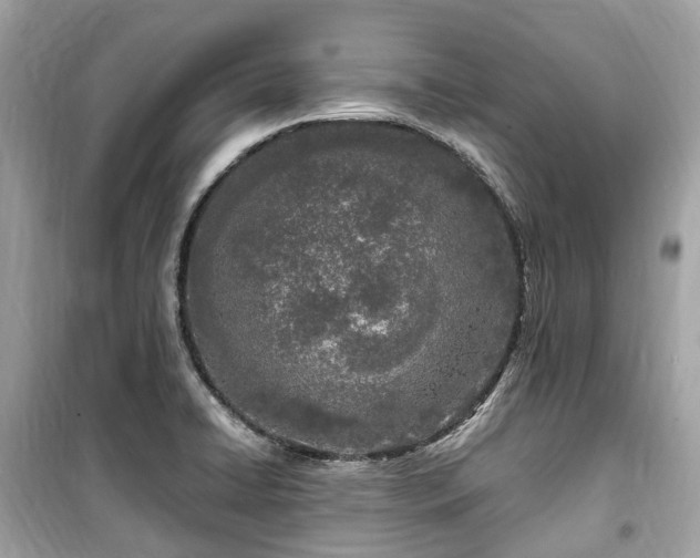 X0000099581422200805161225