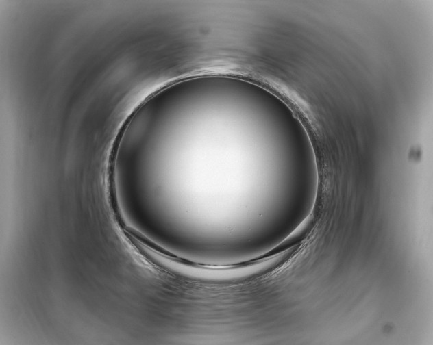 X0000099581423200805161225