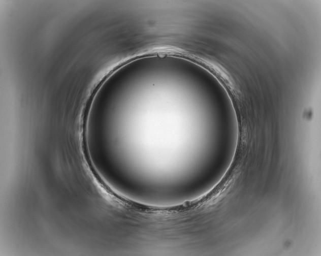 X0000099581430200805161225