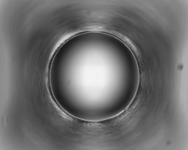 X0000099581432200805161225