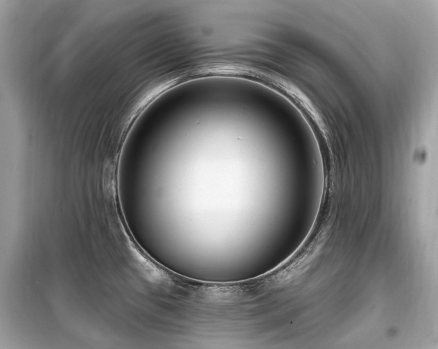 X0000099581433200805161225