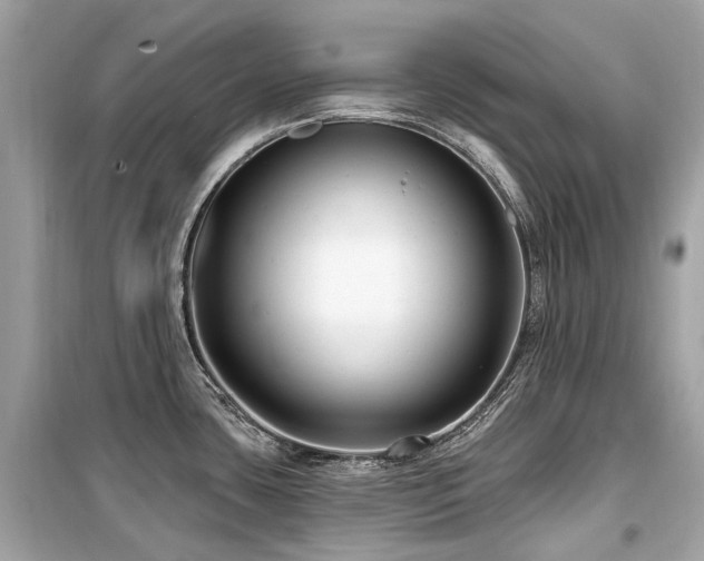 X0000099581435200805161225