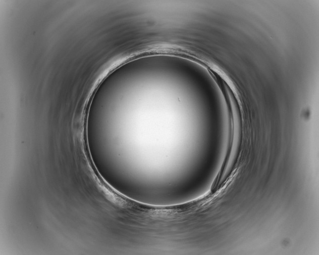 X0000099581437200805161225