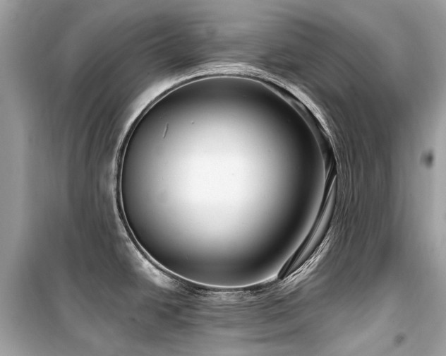 X0000099581438200805161225