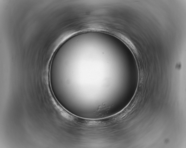 X0000099581439200805161225