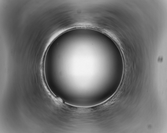 X0000099581440200805161225