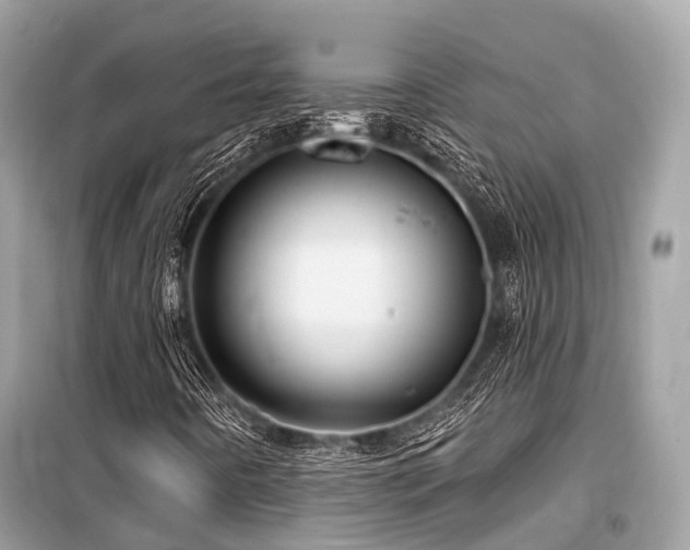 X0000099581442200805161224