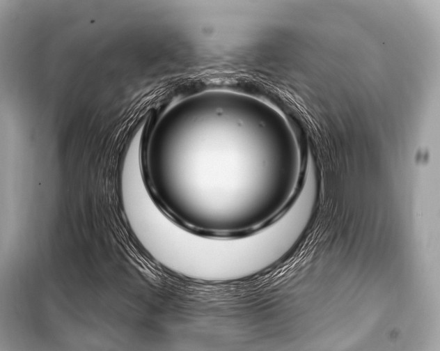 X0000099581444200805161224