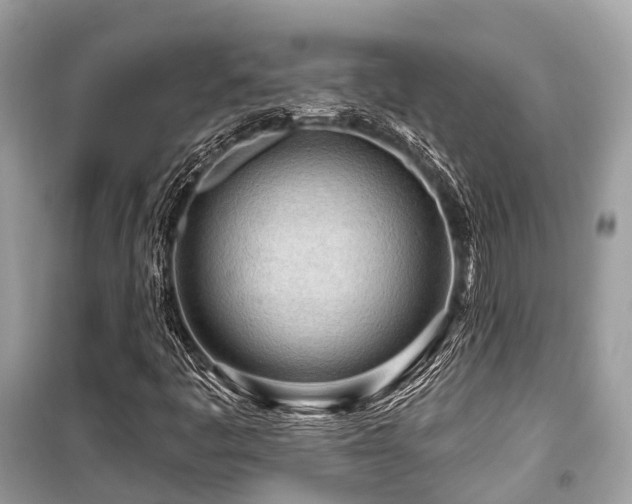 X0000099581445200805161224
