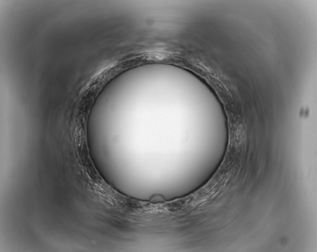 X0000099581446200805161224