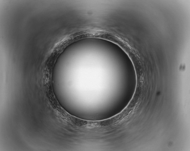 X0000099581447200805161224