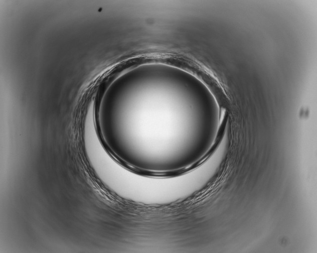 X0000099581448200805161224