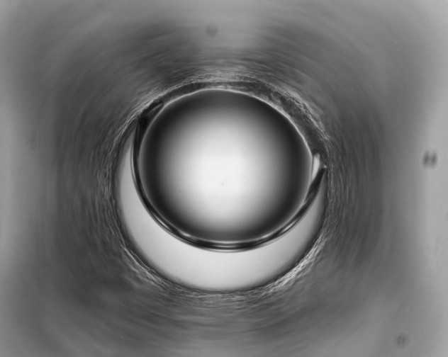 X0000099581449200805161224