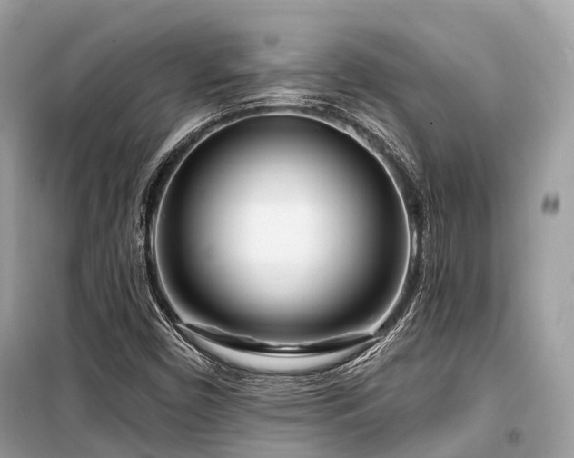 X0000099581450200805161224