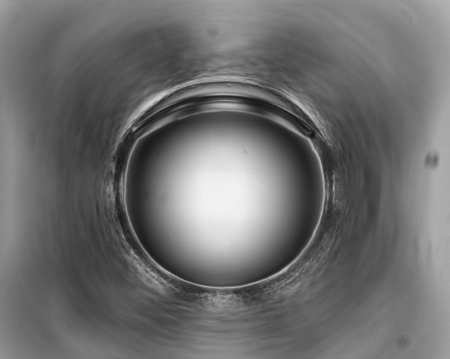 X0000099581452200805161224