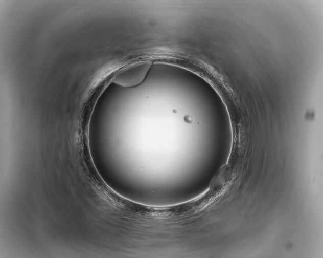 X0000099581453200805161224
