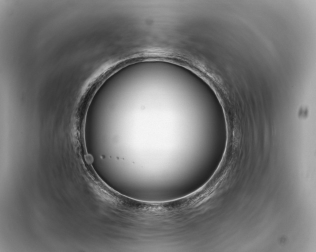 X0000099581454200805161224