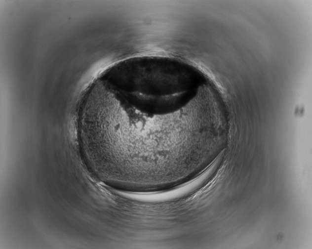 X0000099581455200805161224