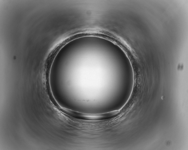 X0000099581456200805161224