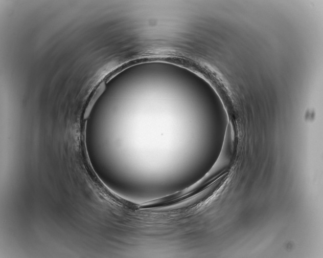 X0000099581457200805161224