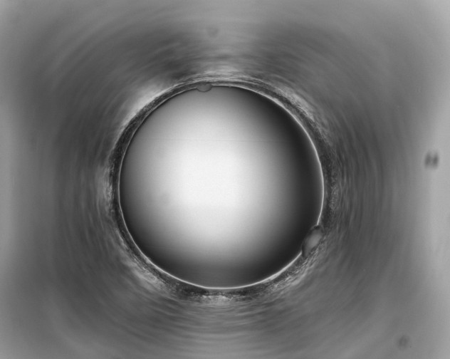 X0000099581458200805161224