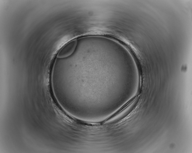 X0000099581459200805161224