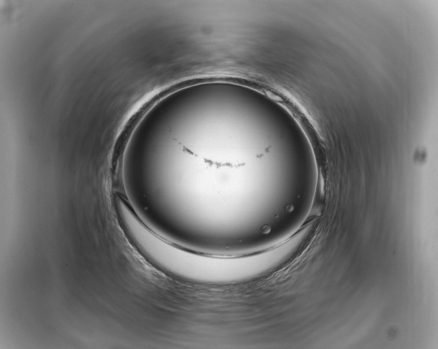 X0000099581460200805161224