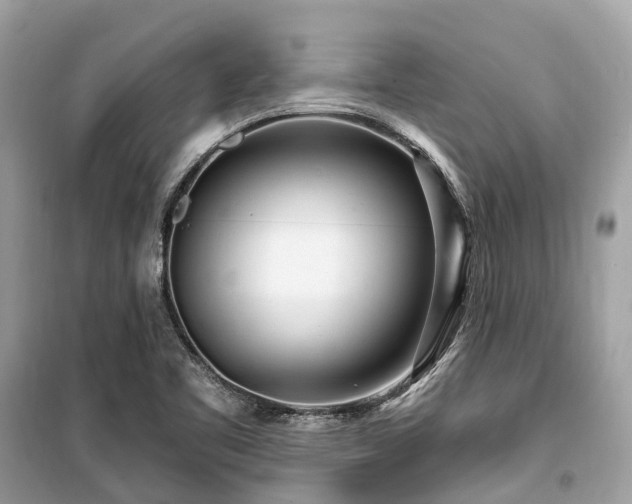 X0000099581461200805161224
