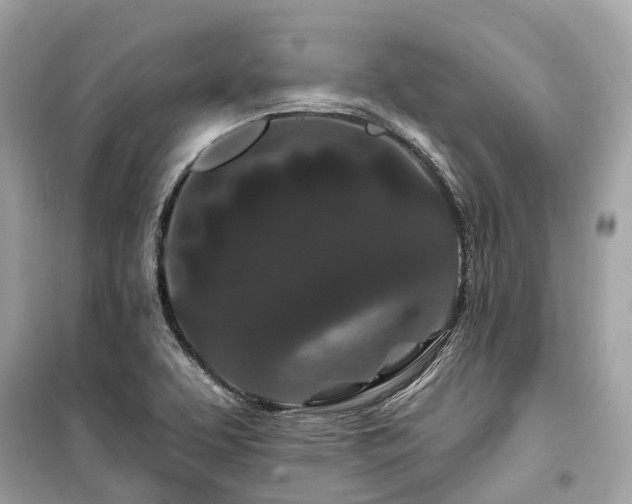 X0000099581463200805161224