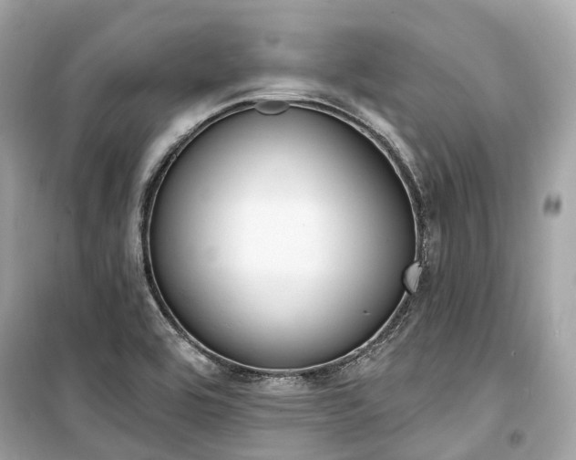 X0000099581464200805161224