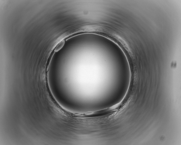 X0000099581465200805161224